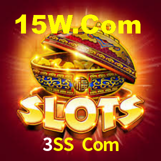 Premium Interface 3SS Com