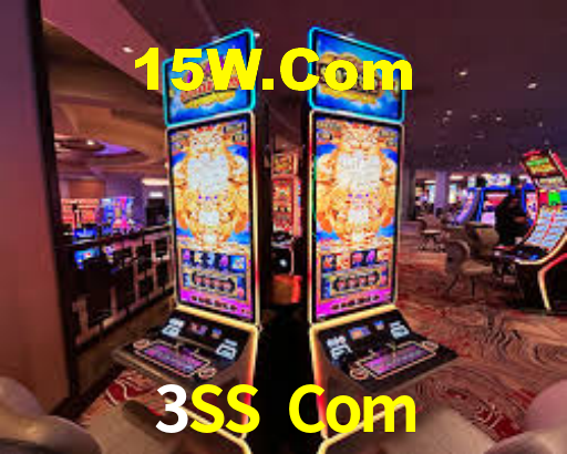 3SS Com