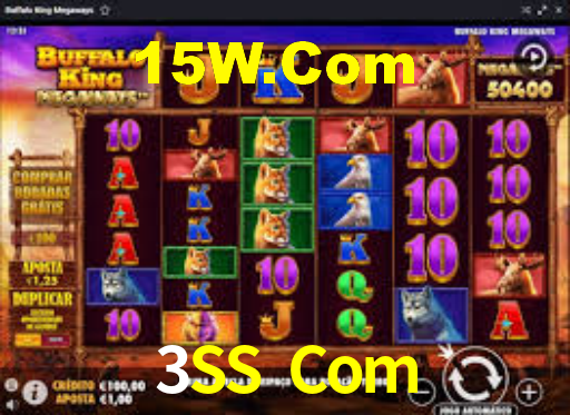 3SS Com