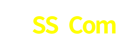 3SS Com